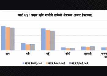 सुदूरपश्चिममा प्रमुख कृषि बालीको क्षेत्रफल र उत्पादन बढ्यो