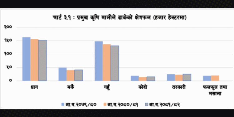 सुदूरपश्चिममा प्रमुख कृषि बालीको क्षेत्रफल र उत्पादन बढ्यो